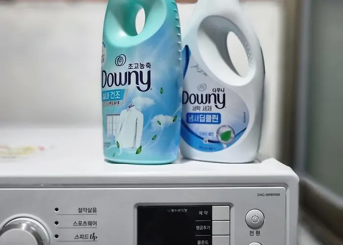오얏 동대문 Oyat Ddp Сеул